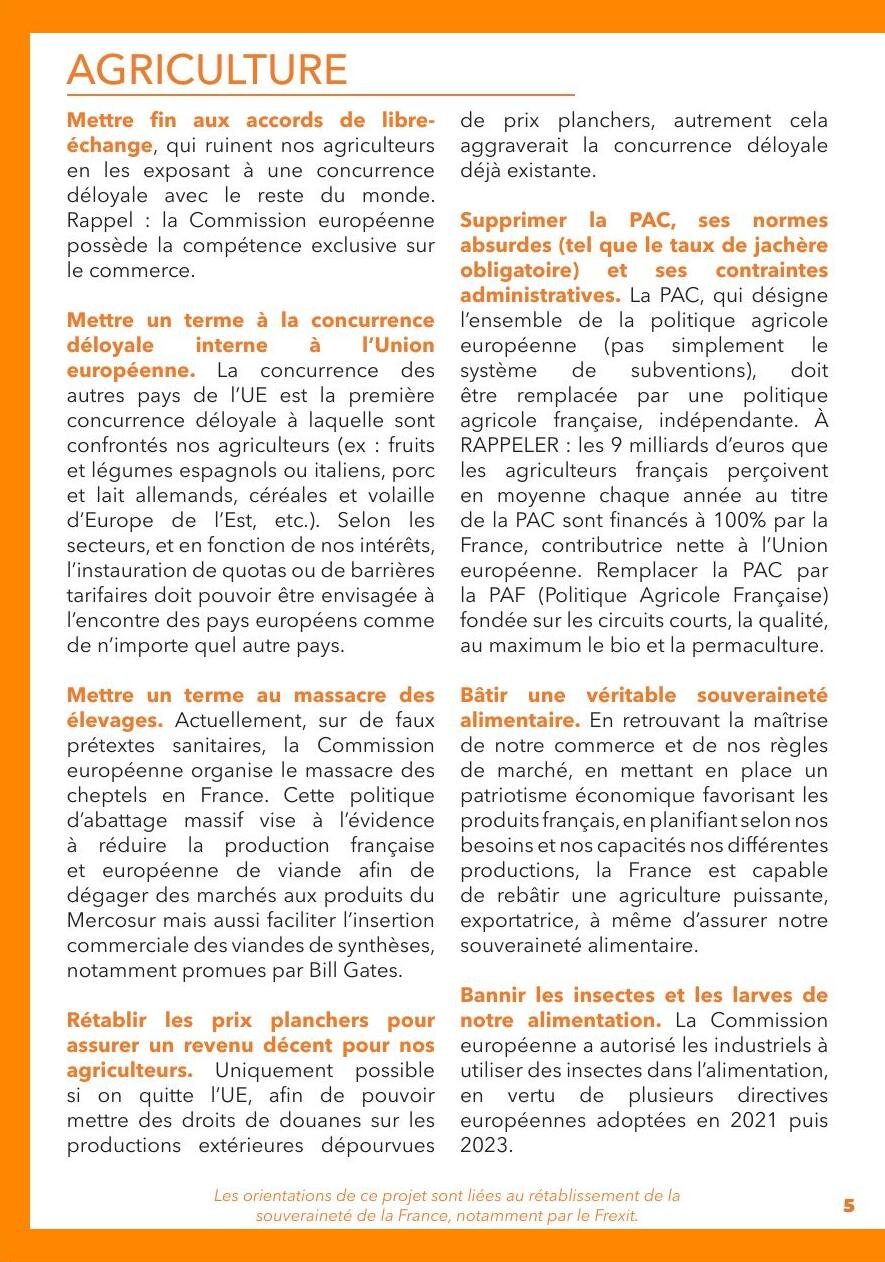 Projet pour la France, page 6