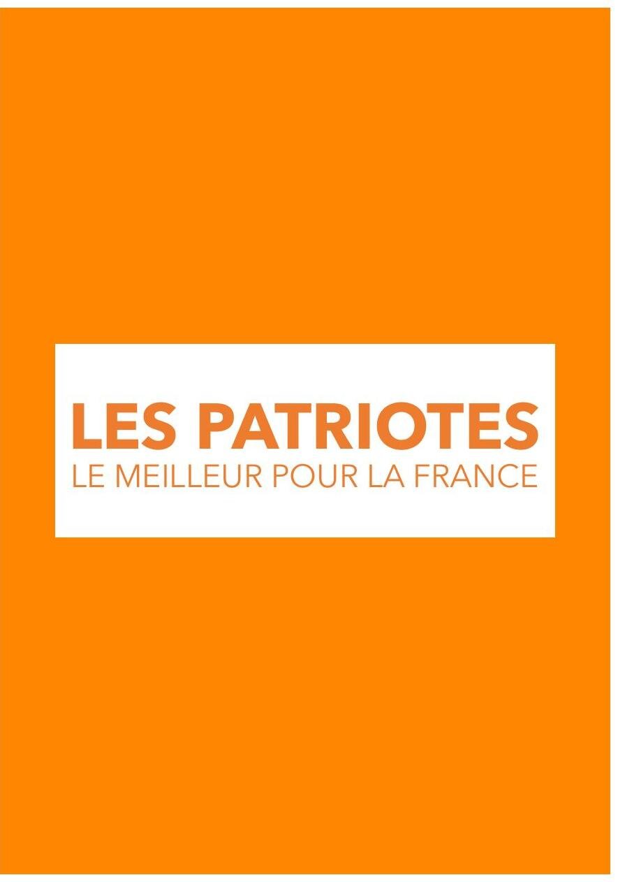 Projet pour la France, page 35